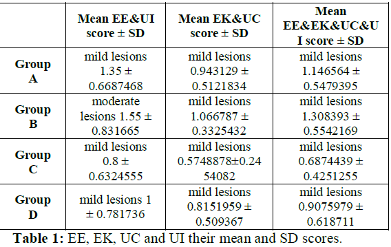 Mean and Sd scores of EE, EK, UC and UI
