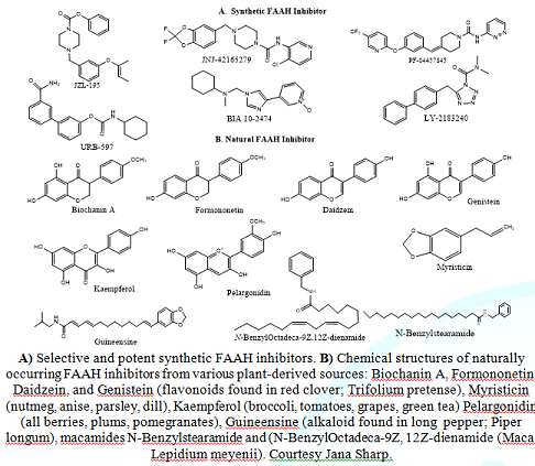 Chemical structures of FAAH inhibitors