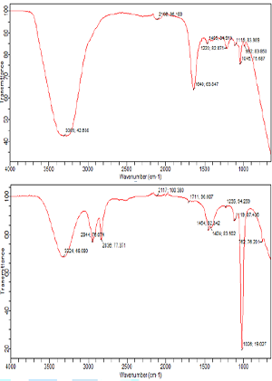 FTIR spectra of (A) pure (B) extracted