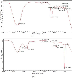 FTIR spectra of (A) pure and (B)