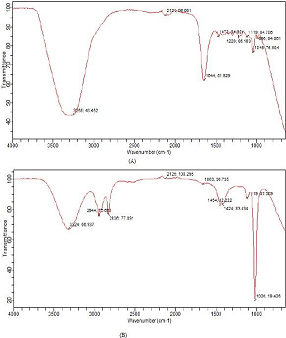 FTIR spectra of (A) pure and (B) extracted