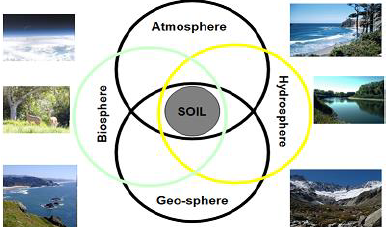 Graphic representation of Soil