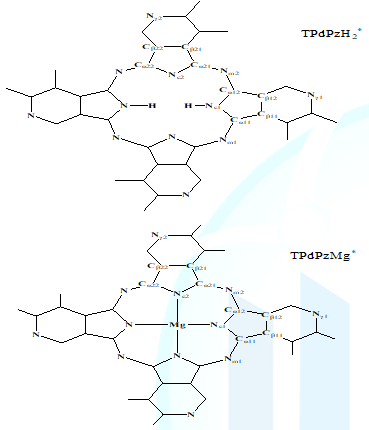 Atom symbols of TPdPzH2* and TPdPzMg*.