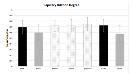 Capillary Dilation Ratio of each animal group