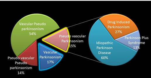 Group of patients at high risk for Parkinsonism TQ ≥ 4, total sample of 46 participants. Different phenotypes were found in this group: vascular, parkinsonian, both or none accordingly.