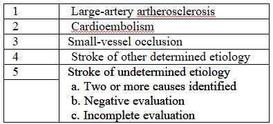 Subtypes of ischemic stroke-TOAST classification.