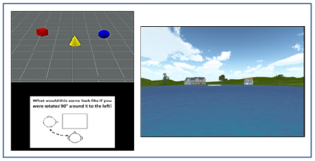 An illustration of the stimuli used in the TMRT task (left) and pond maze (right).