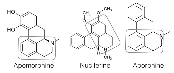 Psychoactive aporphines from the Blue Nile Flower all based on the quinoline structure as highlighted.