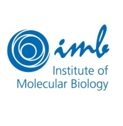 University Logo